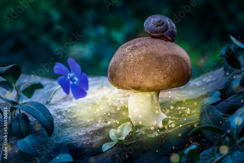 Magic mushroom in a mystical forest with flower and snail. Fantasy forest background