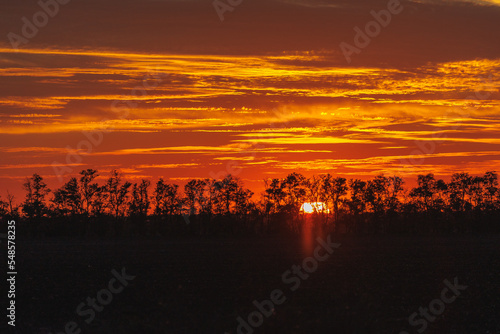 sunset view, nature sun and forest at sunset. the sky and clouds are orange. summer sky and air. background