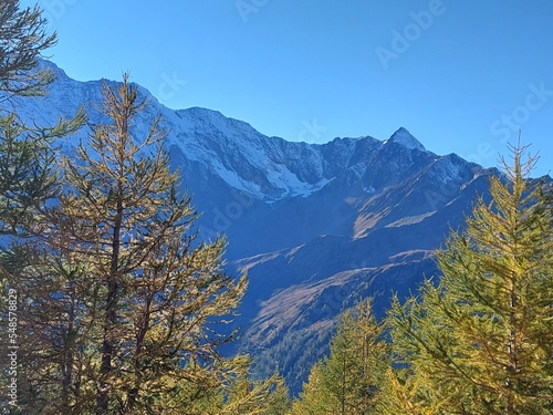 autumn in the mountains