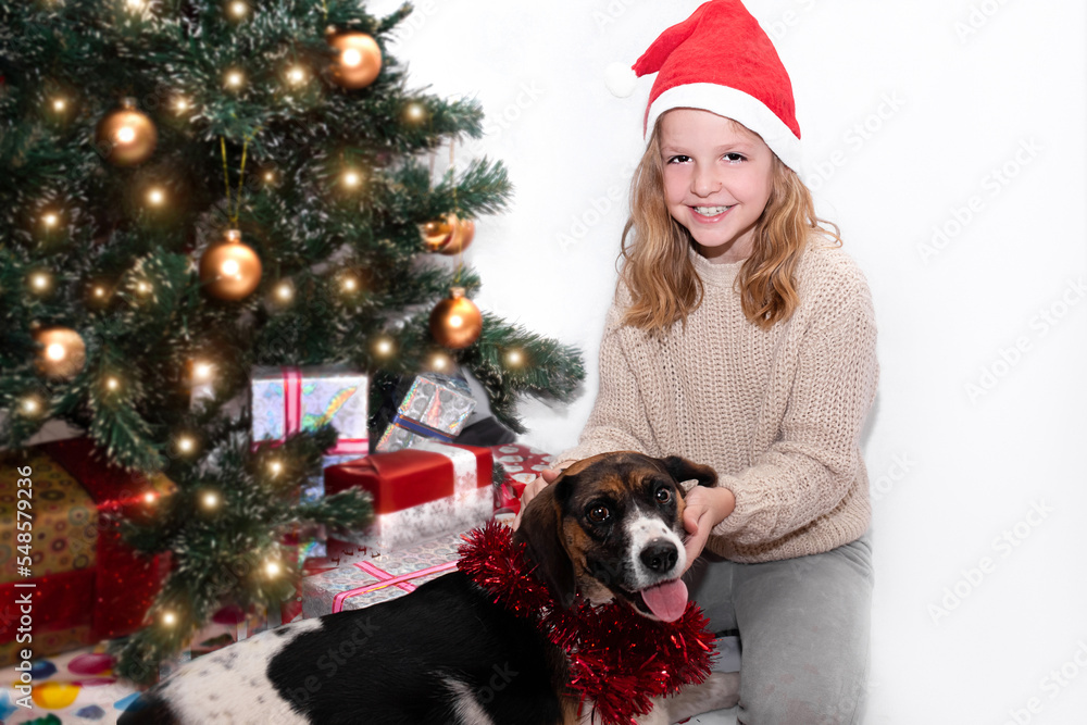 a cute child in a New Year's hat hugs a kind dog near the New Year's tree. New Year's bag with gifts lies under the Christmas tree. happiness concept a cute child in a New Year's hat hugs a kind dog near the New Year's tree. New Year's bag with gifts lies under the Christmas tree. happiness concept
