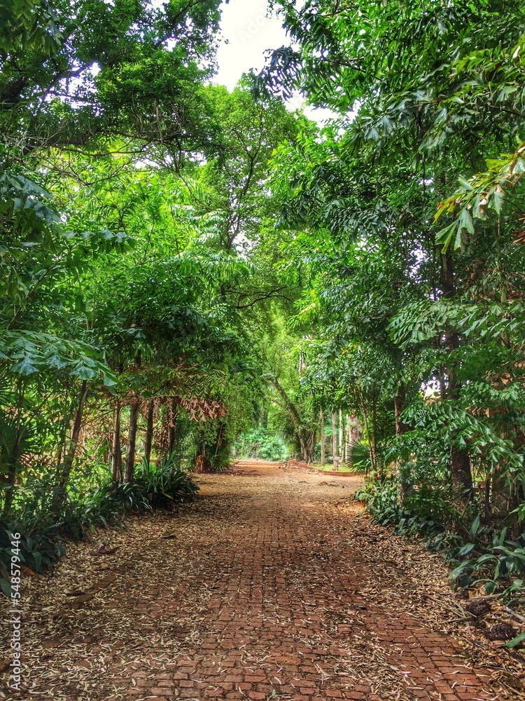 path in the park