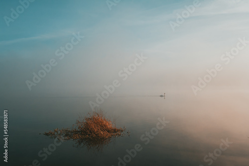 Jezioro Żywieckie 3 © photoemka