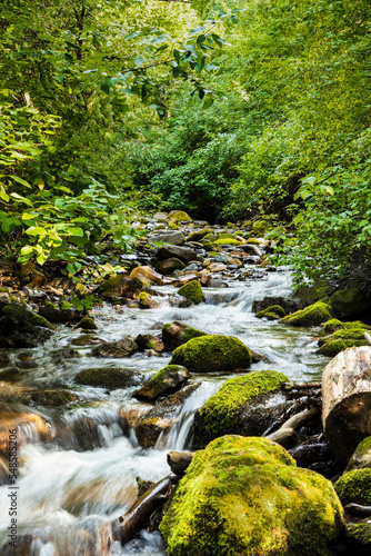 Creek with green folage and flowing water photo