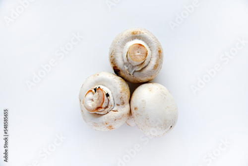 A few mushrooms of champignons on a white background. Nice champignons close-up.