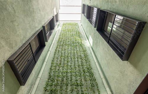 Photography Lookup view of modern residential building with vertical gardening in Barcelona