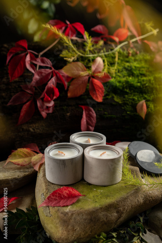 still life with handmade candle and autumn leaves
