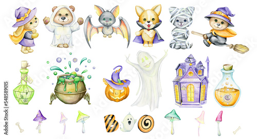 Watercolor set, elements and animals in costumes for the Halloween holiday. Cute animals in cartoon style, on an isolated background. © Natalia