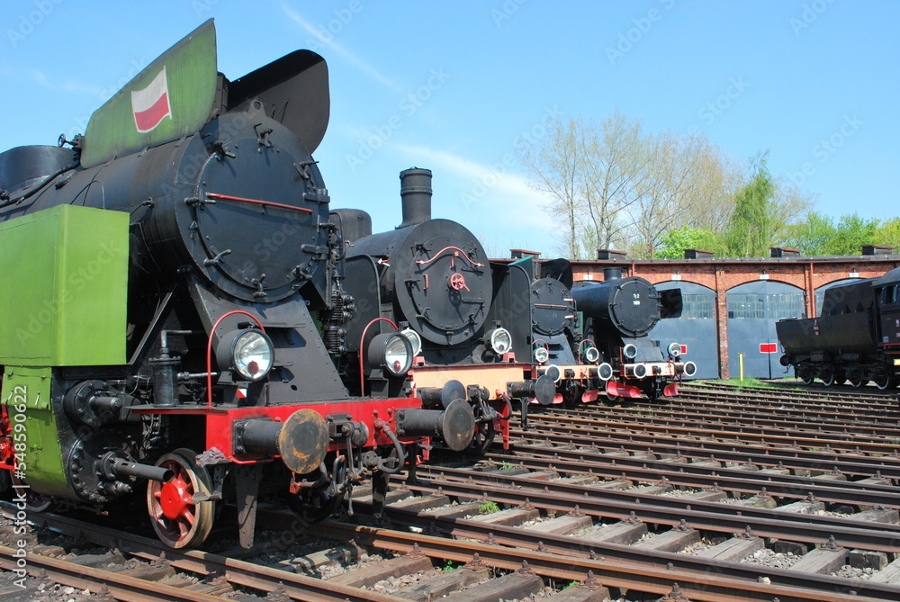 Fototapeta premium old steam locomotives standing in the locomotive depot