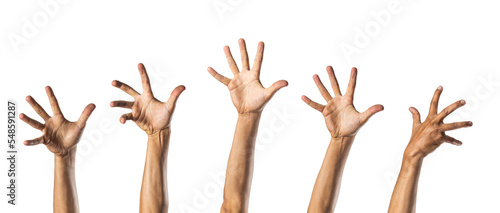 group of hands rising. isolated on transparent background