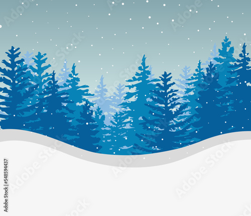 Silhouettes of spruce trees on a snowy blue background.Snowdrifts.Spruce tree forest 