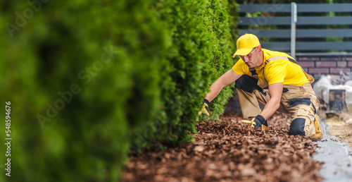 Professional Gardener Arranging the Garden Mulch in the Front Yard
