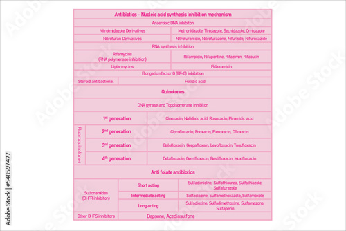 Table showing classification of Nucleic acid synthesis inhibition with examples. Pink background and text. photo