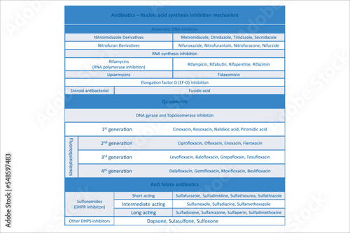 Table showing classification of Nucleic acid synthesis inhibition with examples. Blue background and text. photo