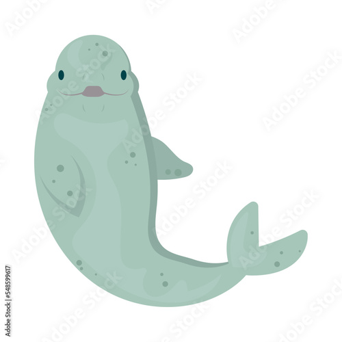 cartoon beluga design