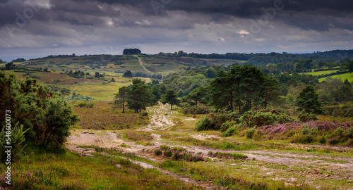 The way to Friend's Clump