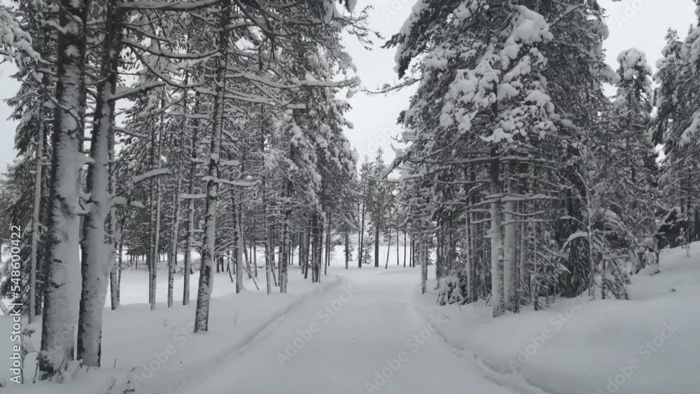 Autofahrt durch Winterlandschaft Autofahrt durch Winterlandschaft
