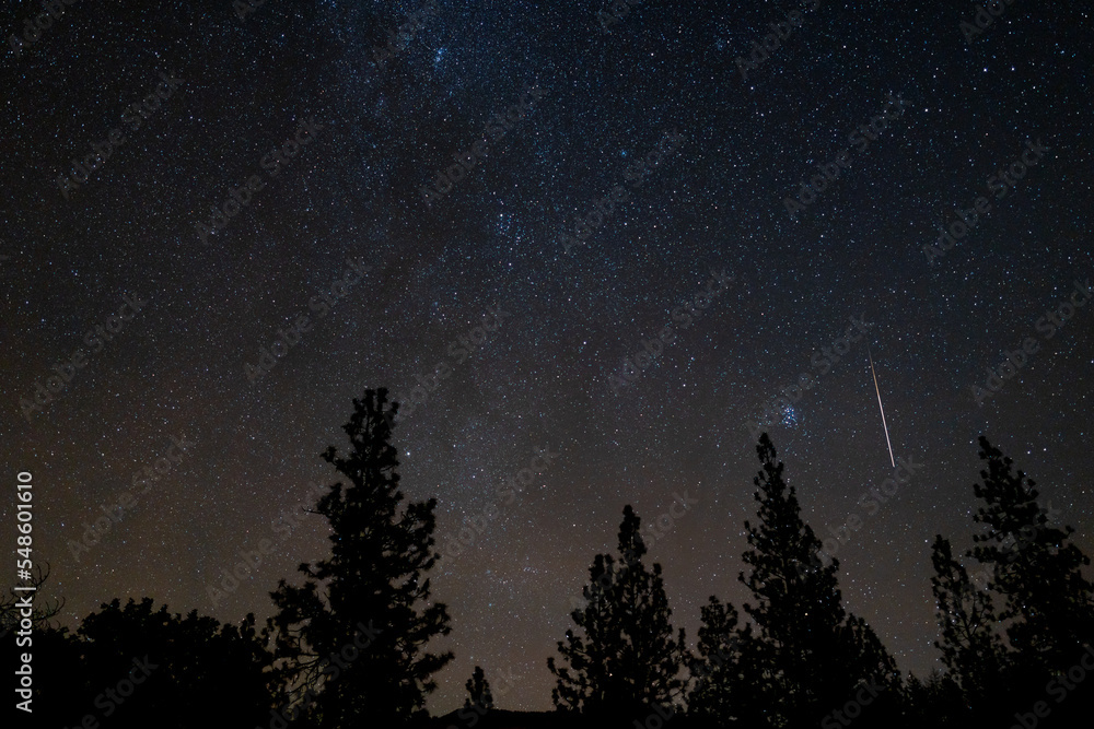 Leonids Meteor Shower Fireball Night Sky Skyscape Leonids Meteor Shower Fireball Night Sky Skyscape
