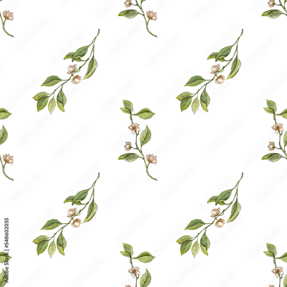 Seamless watercolor floral pattern - composition of flowering lemon branches. Perfect for wrappers, wallpapers, postcards, greeting cards, wedding invitations