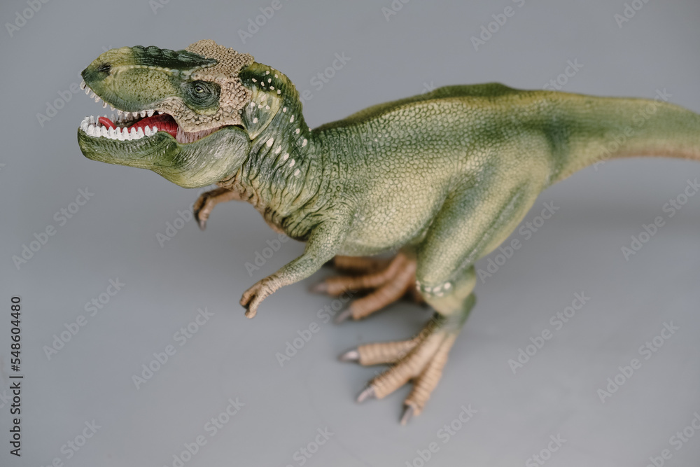 Tyrannosaurus Rex. T-Rex is a genus of large theropod dinosaur.
Tyrannosaurus Rex. T-Rex is a genus of large theropod dinosaur.