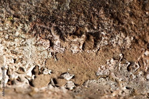 Rust  rusty pipe and peeling paint over time  selective focus.