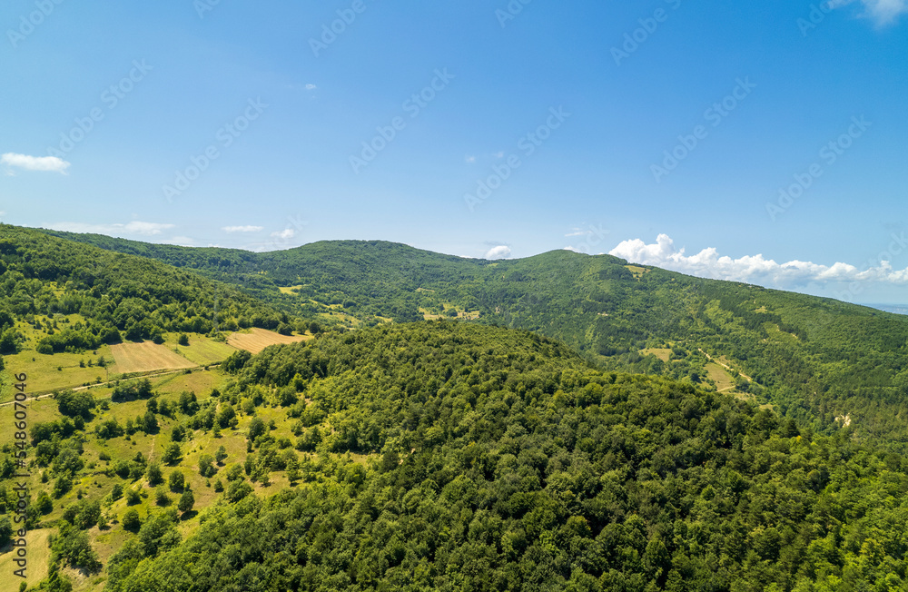 Fields and forested areas visible from the sky. black sea forests and geography aerial shot. Gerze, Sinop, turkey