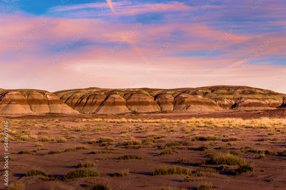 Fototapeta premium Painted Desert Landscape