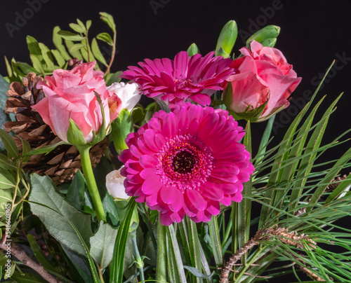 Wallpaper Mural close-up of red flowers on black background.  Chrysanthemum, rose, daisy Torontodigital.ca