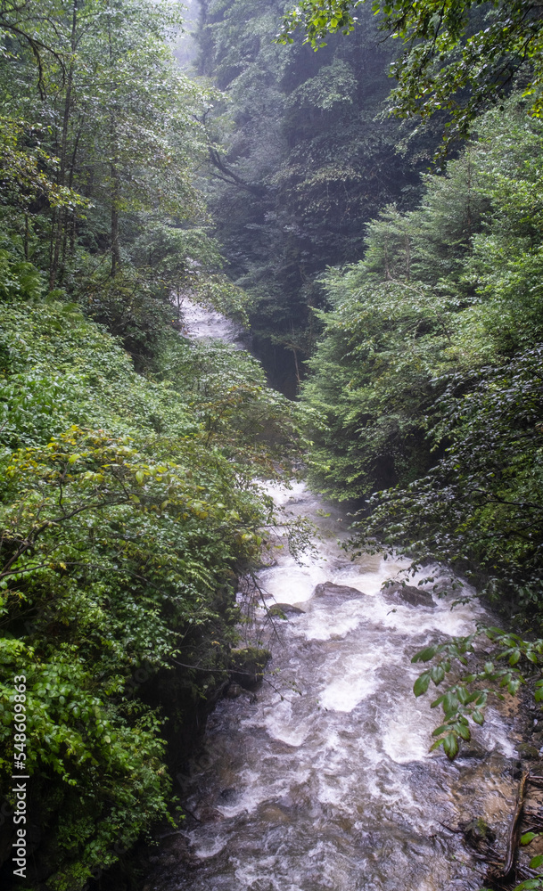 streams and nature in spring. Camlihemsin, Rize, Turkey