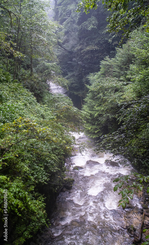 streams and nature in spring. Camlihemsin  Rize  Turkey