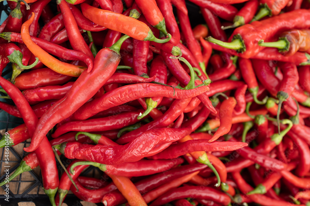 Fresh and organic chili pepper at farmers market
