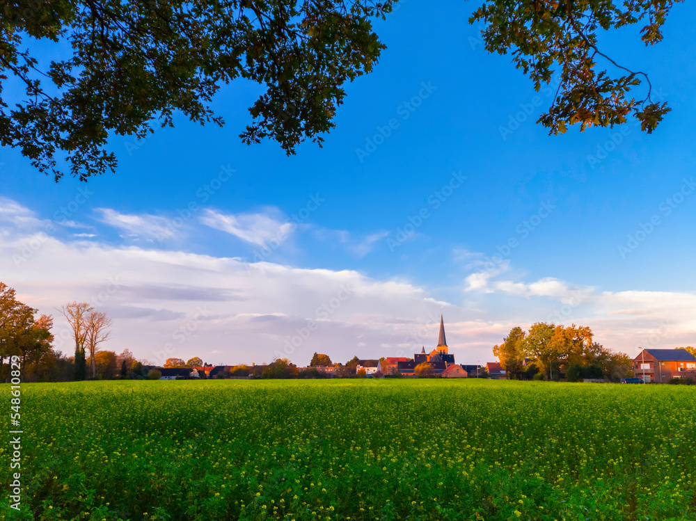 Cityscape of Morkhoven with church above beautiful field with yellow flowers and bright blue sky. Image taken in November.