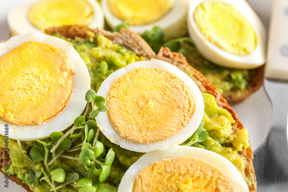Tasty toasts with boiled egg, avocado and microgreen, closeup Tasty toasts with boiled egg, avocado and microgreen, closeup
