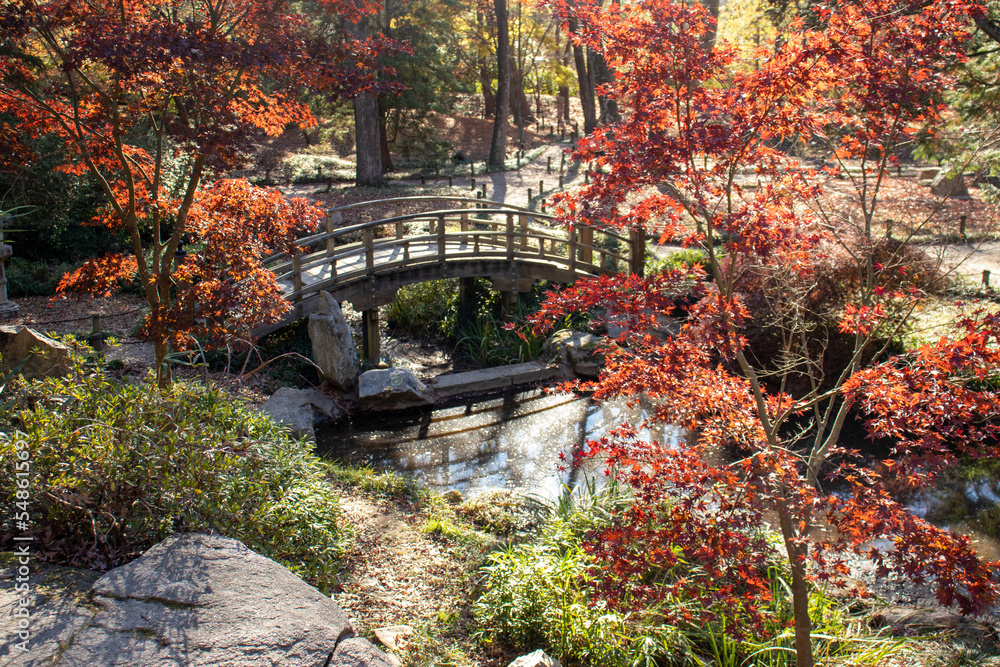 Obraz premium Japanese Garden trail with Bridge to walk on.