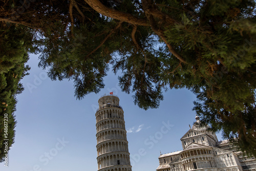 La torre de Pisa entre árboles