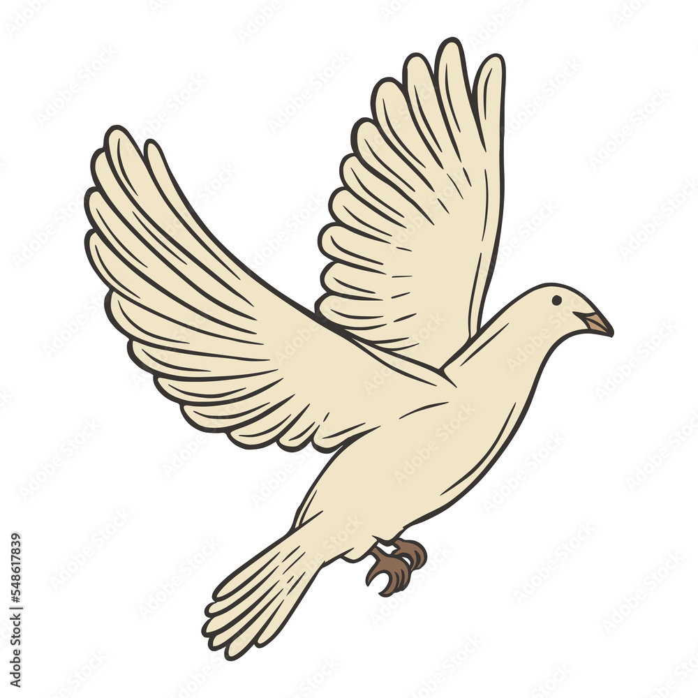 Dove bird hand drawn vector illustration Dove bird hand drawn vector illustration