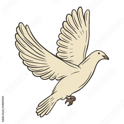 Dove bird hand drawn vector illustration