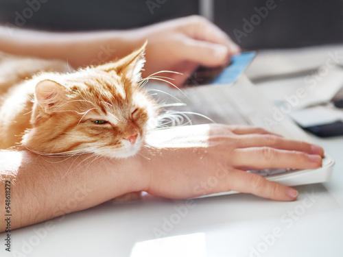 Quadro em tela Man is typing at the computer keyboard