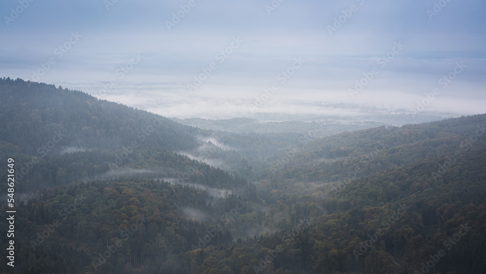 Fog shrouds the Walprechtstal in the Black Forest and the neighbouring Rhine plain