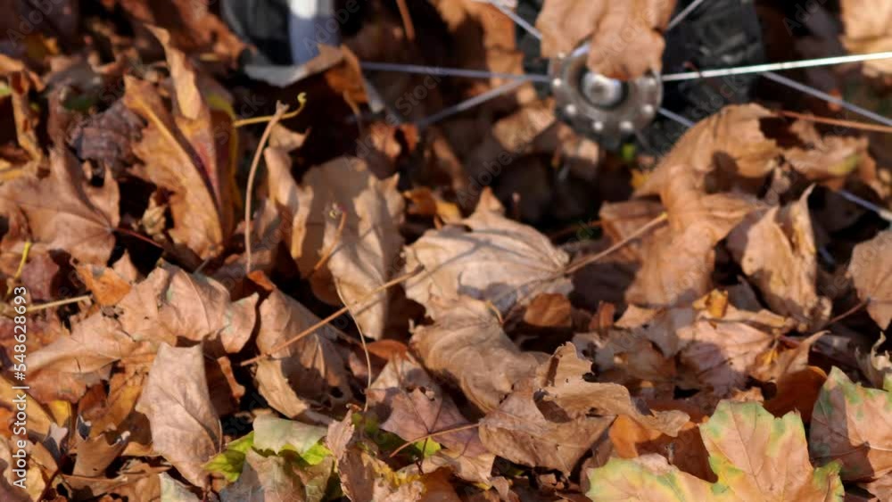 Closeup of a stroller wheel and tire rolling through a large pile of colorful leaves in autumn. Closeup of a stroller wheel and tire rolling through a large pile of colorful leaves in autumn.