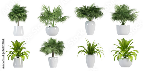 Set of plant in pot isolated