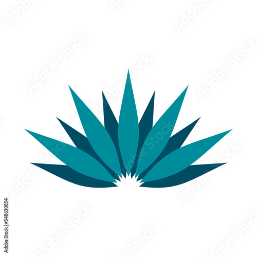 green agave plant