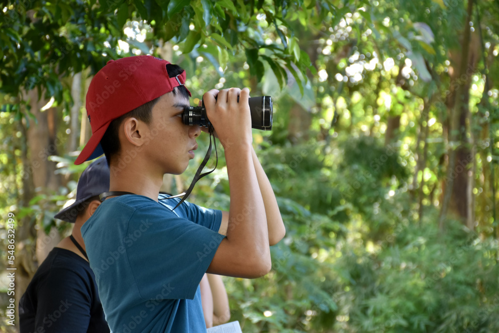 Asian boys are using binoculars to do the birds' watching in tropical forest during summer camp, idea for learning creatures and wildlife animals and insects outside the classroom. Asian boys are using binoculars to do the birds' watching in tropical forest during summer camp, idea for learning creatures and wildlife animals and insects outside the classroom.