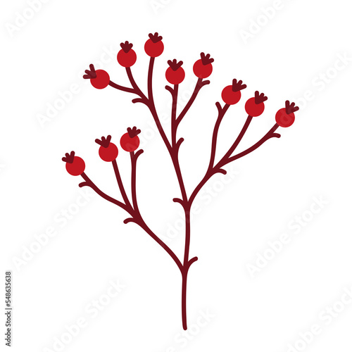 Rosehip branch vector icon. A bare twig of a wild or garden plant with ripe red berries. Hand drawn illustration of Christmas bush isolated on white. Forest tree sprig. Clipart for cards, cosmetics