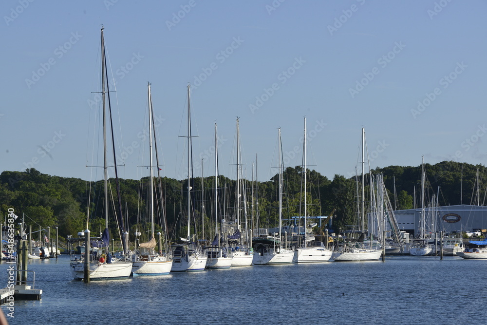Moored sailboats on Boston Harbor