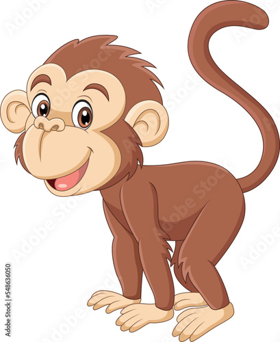 Cute little monkey cartoon on white background