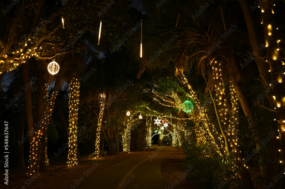 a walkway decorated with festive lights for the holidays