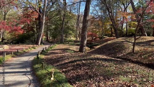 Walking through a Japanese Garden path in Virginia 