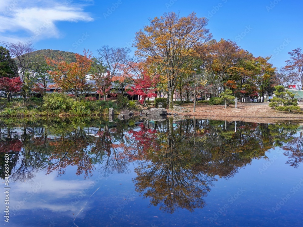 青空バックに見る秋の庭園の情景＠福井