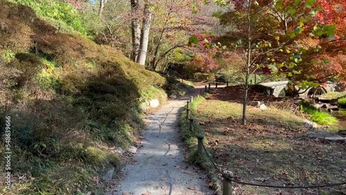 Walking through a Japanese Garden path in Virginia 
