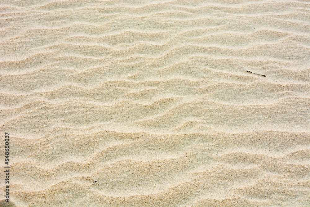 Sand texture background. Beach sand with wavy pattern.. Sand texture background. Beach sand with wavy pattern..